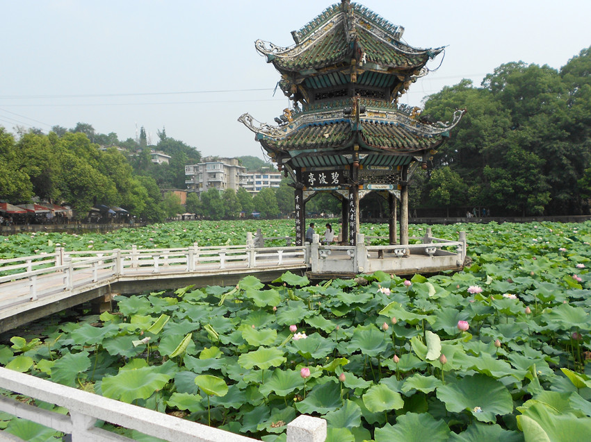 照片 056.jpg
