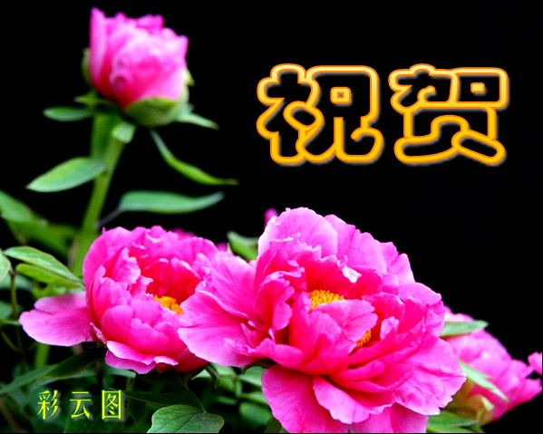 34633457.90a543_conew2.jpg