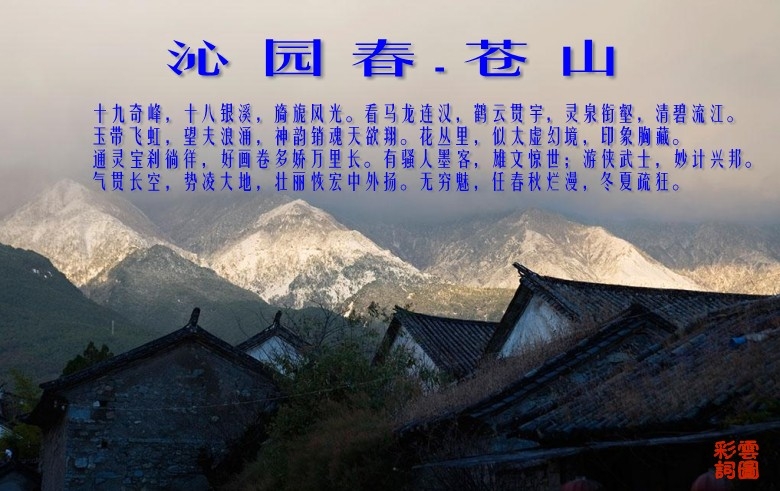 4cc023c53b168c1346700000_conew17.jpg