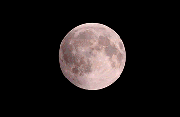182455h4nwxrlotrt18o4k.gif