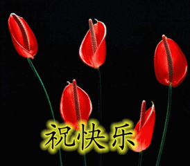 祝一切好.gif