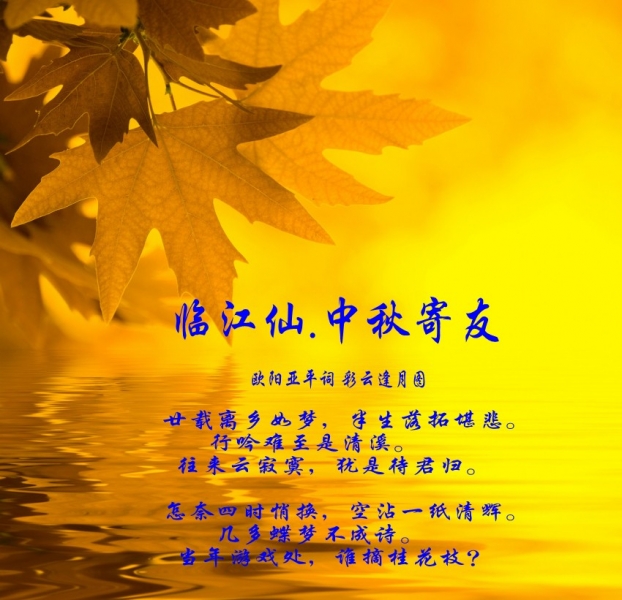 dcc451da81cb39db76cf4b5ad1160924ab1830aa_conew3.jpg