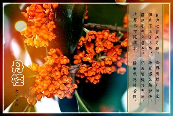 psb (3)_副本.jpg