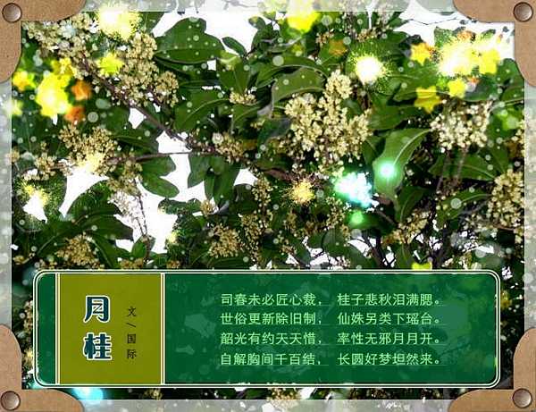 psb (4)_副本.jpg