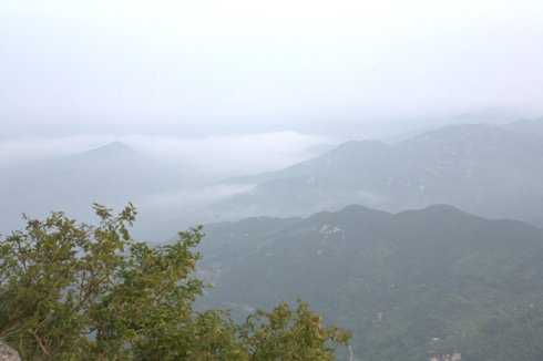 大崎山.jpg