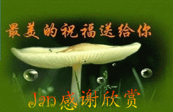 u=2324283800,2223669876&amp;fm=21&amp;gp=0.jpg