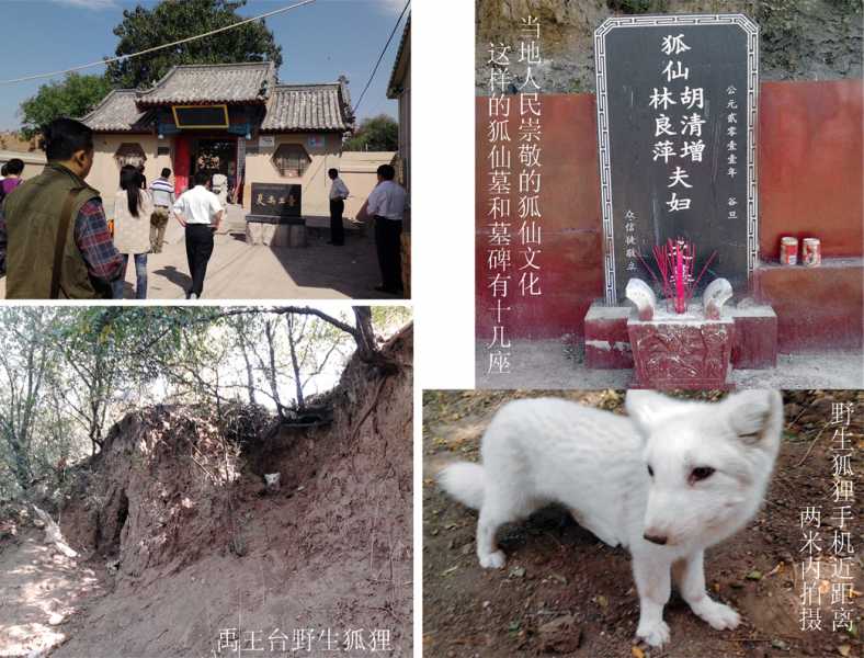 禹王台.jpg