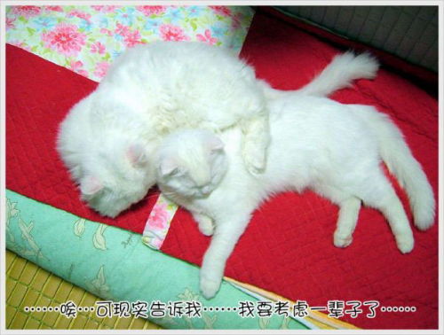225456niok3ohkzvy3ji5j.jpg