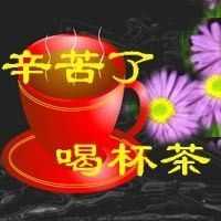 143537vqcpejldfcrcdmdg.jpg