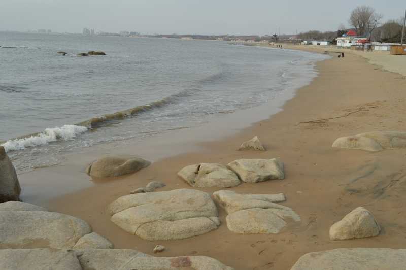 DSC_2228.jpg
