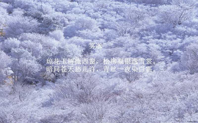 雾凇.jpg
