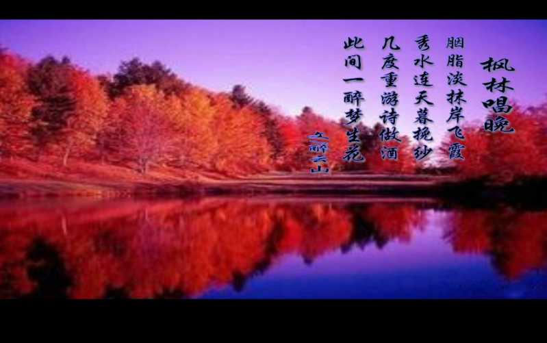 枫林