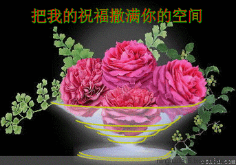 182508cgeccc8vz8osttea.gif