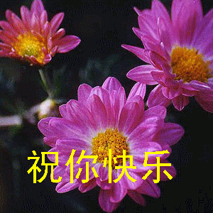861876378688483011.gif