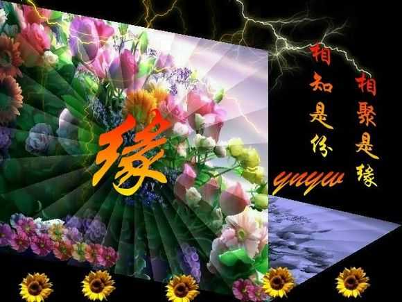 缘.jpg