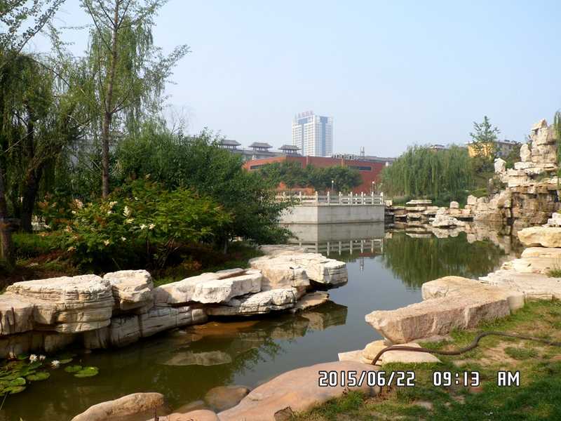 SAM_0372.JPG
