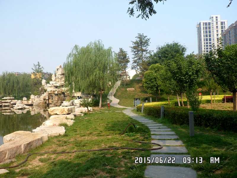 SAM_0373.JPG