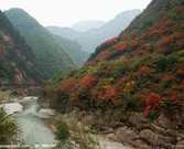 t019885df441529b235大秦岭.jpg