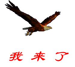 鹰.gif