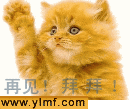 未命1.gif