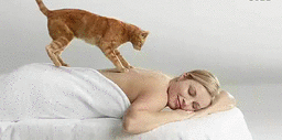 f00deecba786c917a71c279bc93d70cf3ac757bb.gif