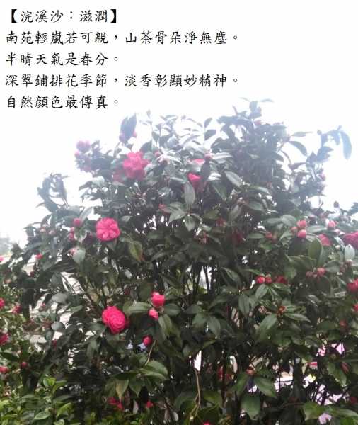 滋潤.jpg