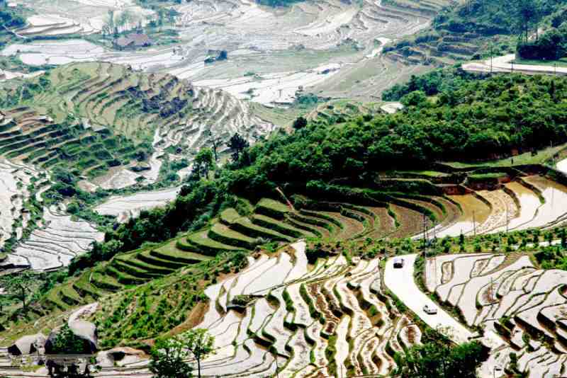 灵山梯田.jpg