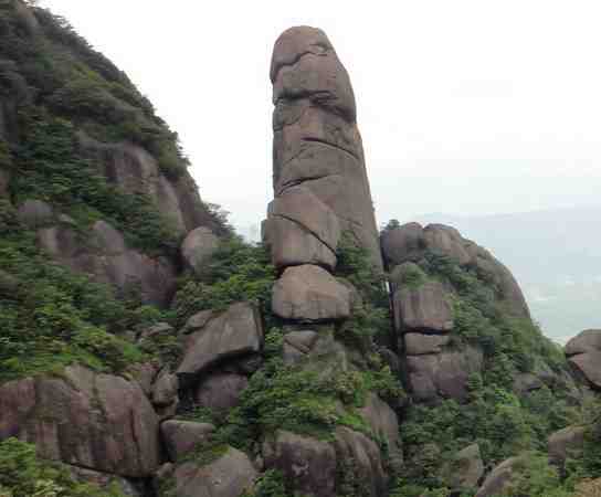 中华龙根.jpg