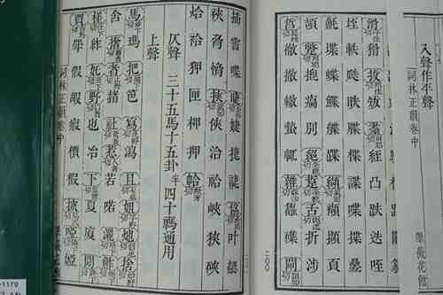 DSC02903_副本.jpg