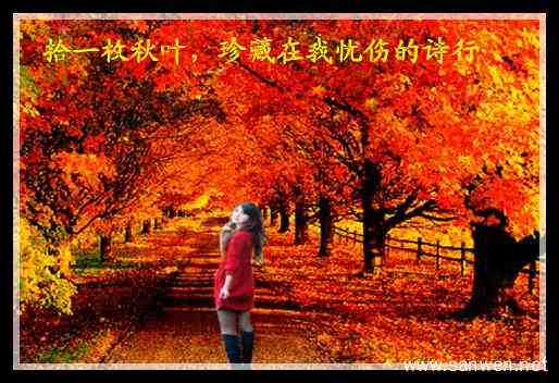 拾一枚秋叶.jpg