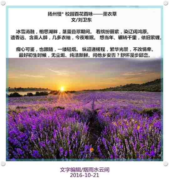 QQ图片20161021173254.jpg
