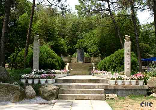 594.jpg