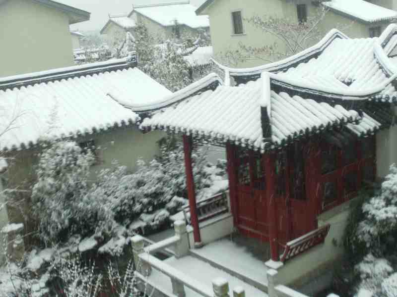 雪复水榭鱼塘.JPG