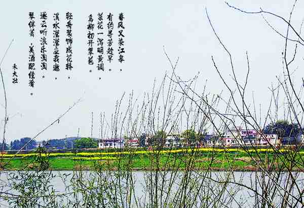 11041014062ca2dc9bbfdea593_副本.jpg