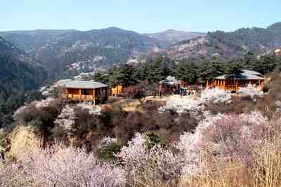 春满桃花沟.jpg