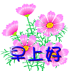 早上好02.GIF