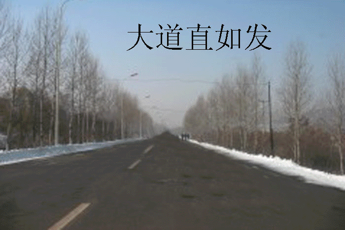 2051108155390940751.gif
