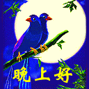 晚上好（动）.gif