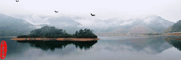 4a8ad5ffgw1f5tczwg1uug20go05k0w0.gif