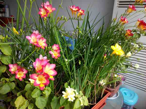IMG_20180105_075250_副本.jpg