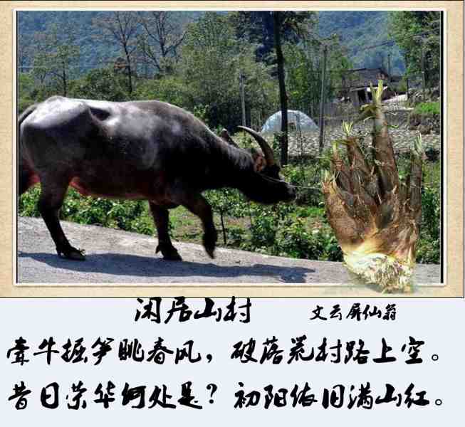 牛8 拷贝_副本.jpg