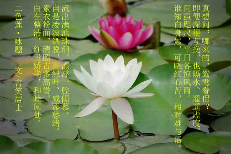 psb_副本.jpg