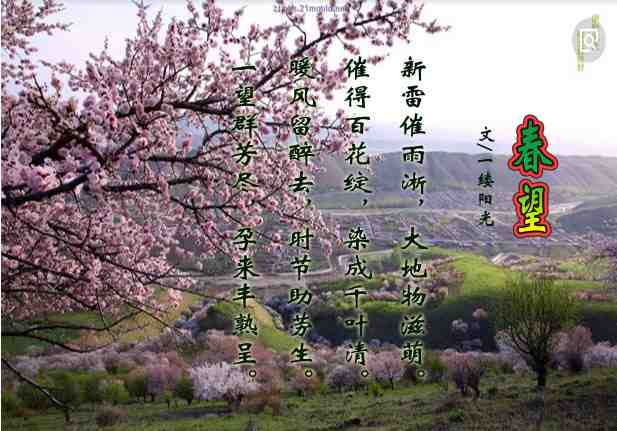 五律-春望.jpg