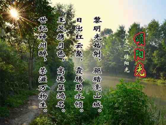 五律  颂阳光.jpg