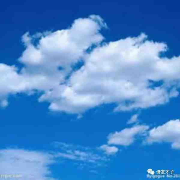 微信图片_20181120095335.jpg