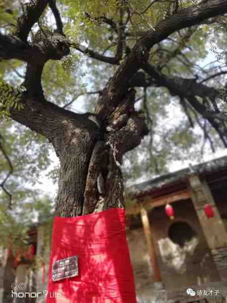 微信图片_20181120095423.jpg