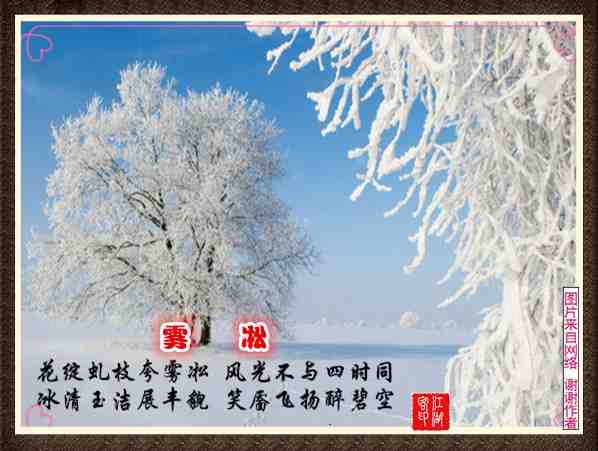 057雾凇.jpg