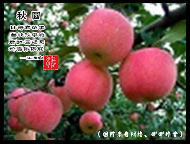062秋圆.jpg