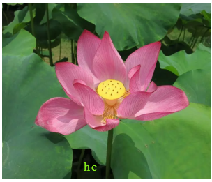 QQ图片20190722145507.png