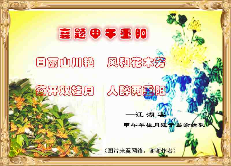 214甲午重阳.jpg